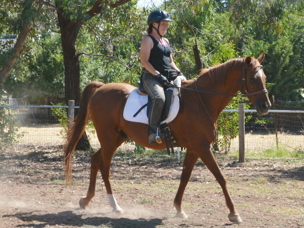 Straightness Practice Transforming Your Riding A Step At A Time